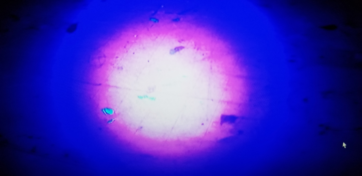 HD UV Light Forensic Science Camera - EH-UV001