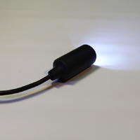 mini underwater camera, fish finder camera, waterproof  inpection camera